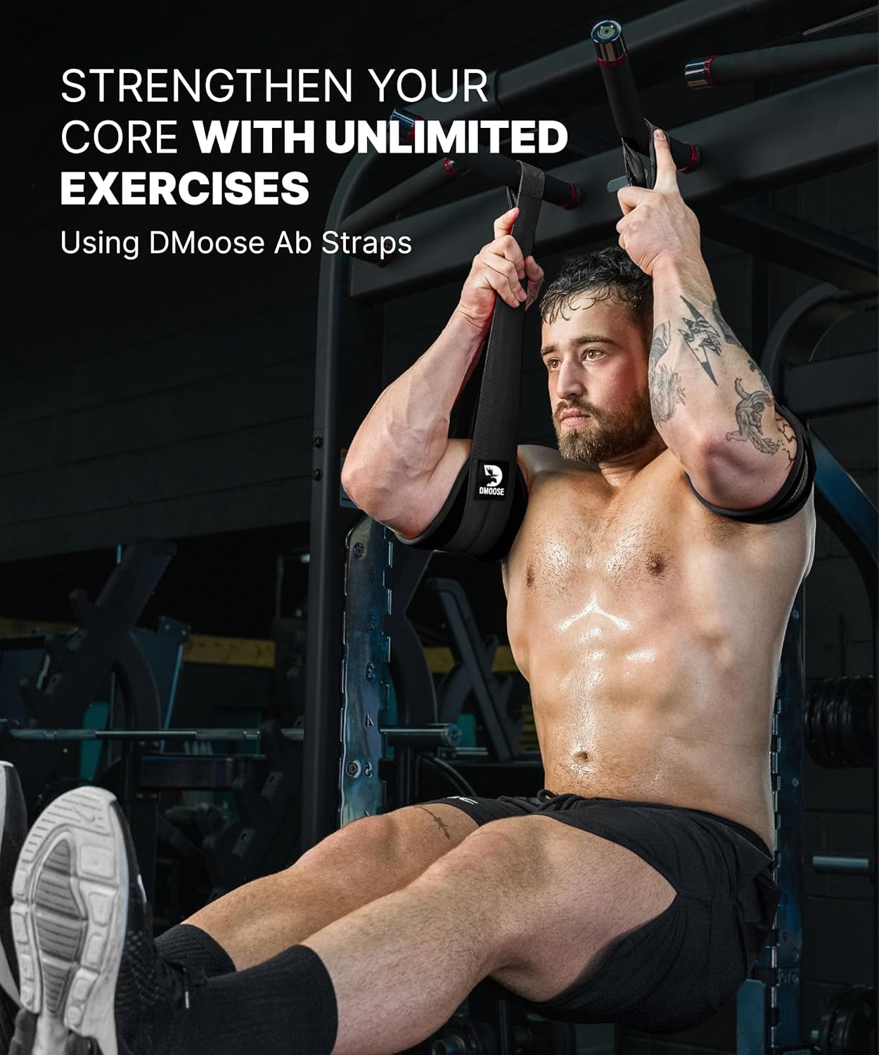 Hanging Ab Straps for Pull-Up Bars - Padded Exercise Straps for Core Strength Training, Includes 2 Steel Carabiners - Ideal for Home and Gym Use